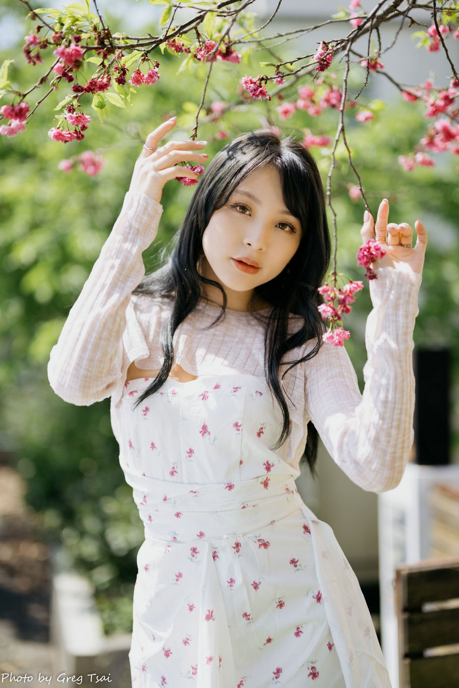 Ashley - 碎花连衣裙 [85P-272MB]